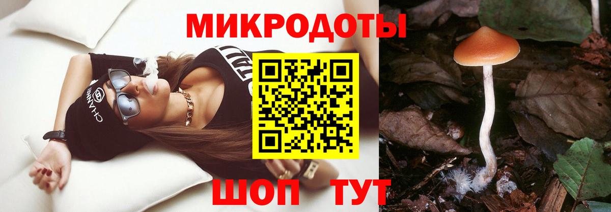 Галлюциногенные грибы мухоморы Камышлов