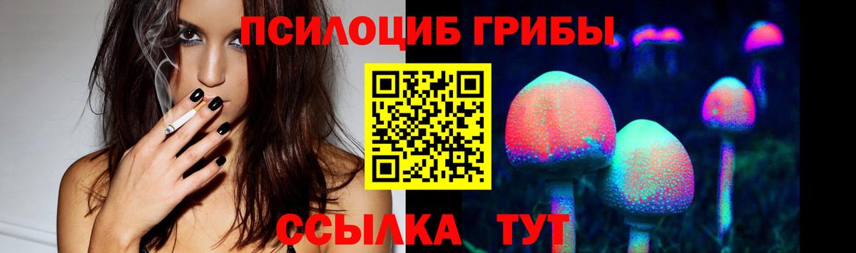Камышлов  Псилоцибиновые грибы Psilocybine cubensis  Псилоцибиновые грибы мицелий  Вход с VPN 